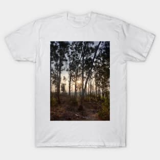 Sunset through trees T-Shirt